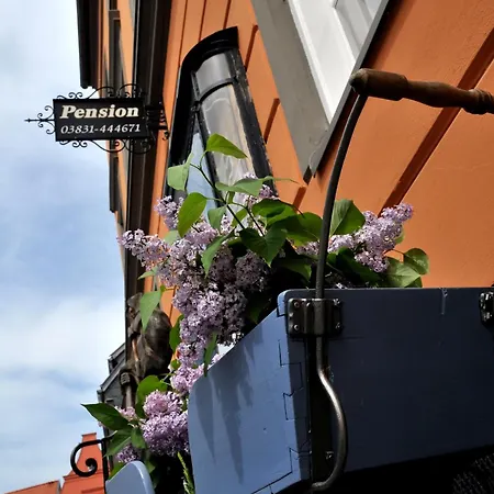 Pension Altstadt Mönch in top Lage direkt in der Altstadt incl Frühstück-3